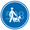 Icon featuring a man with a seeing eye dog with 508 in the background