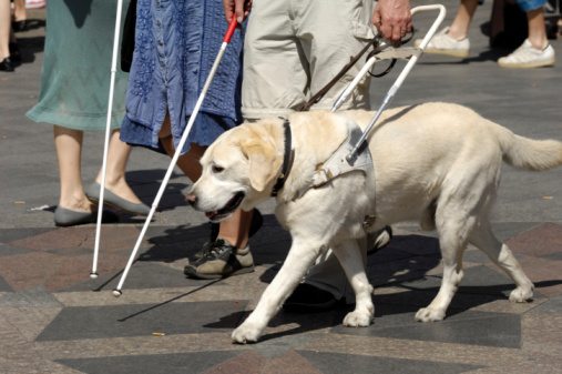 How Can People Who Are Blind Get Around On Their Own Better?