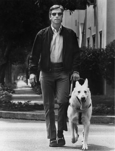 Mike Longstreet walking down the sidewalk with his guidedog named Pax