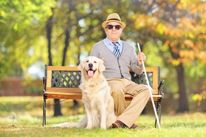 Senior man wearing sunglasses and holding a white cane sitting on a park bench with his dog sitting on the ground next to him.