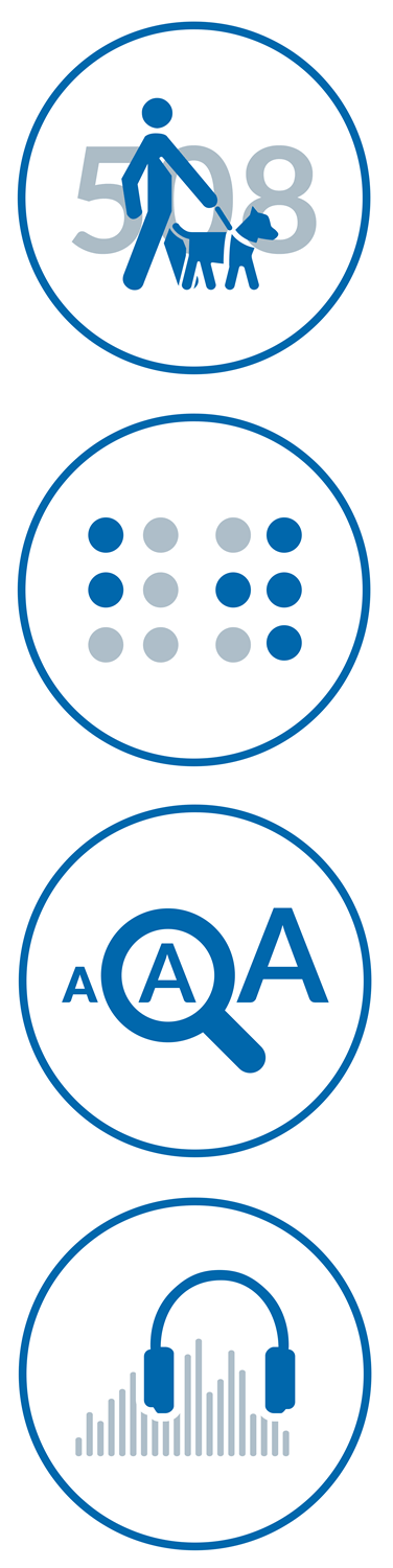 Image showing four circular icons. Each represents a Braille Works service; 508 Compliant documents, braille, large print and audio.