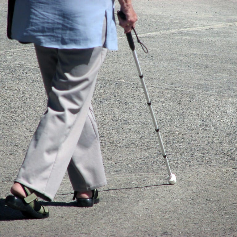 Celebrating White Cane Safety Day & Blind Americans Equality Day