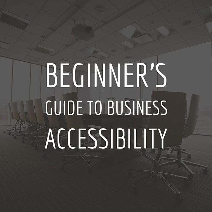 Beginner's Guide to Business Accessibility.