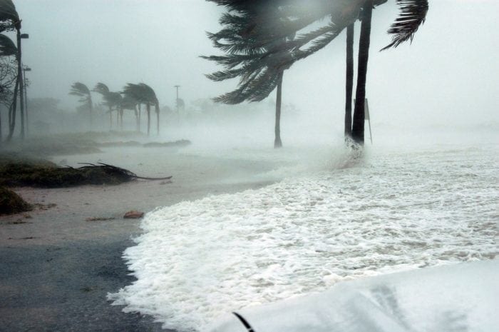 Storm surge on a FL beach as hurricane winds bend palm trees 