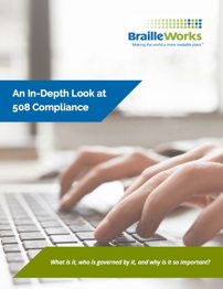 Preview of eBook titled "An In-Depth Look at 508 Compliance"