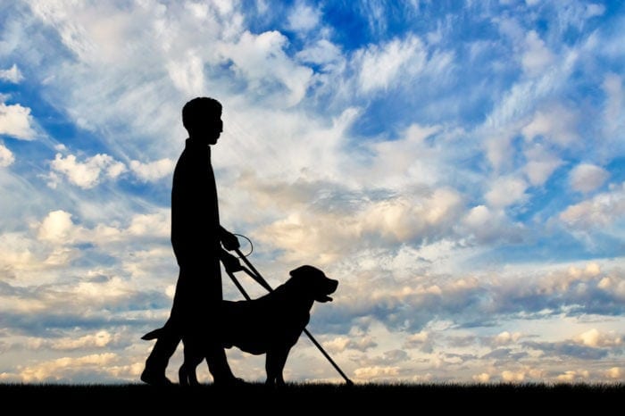 a man with blindness with his guide dog and the sky and clouds in the background to represent the future of the Americans with Disabilities Act