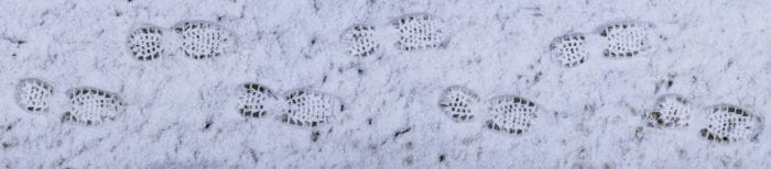 Shoe prints in snow