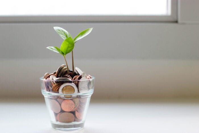 Planter full of coins with new leaves growing out of the top