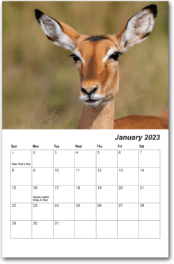 2023 January full calendar page