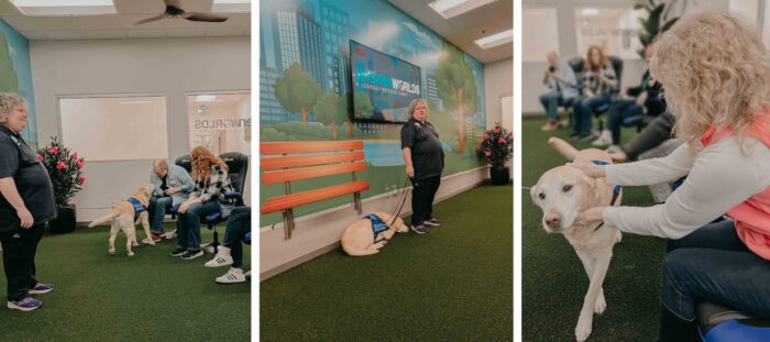 Collage of retired guide dog Carson interacting with people in the room and Suzy answering questions