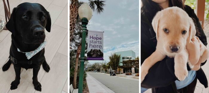 Collage with a black lab sitting, the Southeastern Guide Dogs campus with a sign that says Hope starts here, and a yellow lab puppy in someone's arms