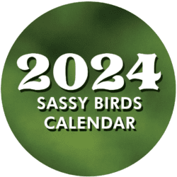2024 sassy birds calendar